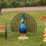 Ian Peacock-Edwards - @ianpe82 - Instagram