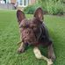 Ian Peasey - Facebook