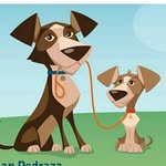 Ian Pedraza - @ians_home_and_pet_sitting - Instagram