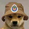 user8511225817413 - @ianperales1994 - TikTok