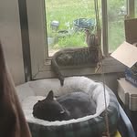 Percy & Ian - @percy_and_ian_space_bois - Instagram