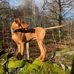 Ian Pilcher - Facebook