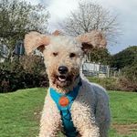Ian Pleasants - @ianpleasants - Instagram