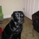 Ian Plunkett - @taza_manian - Instagram