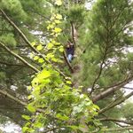 Ian Pogue - @ian_shmian_ - Instagram