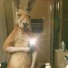 Ian Polanco - @ian.polanco5 - TikTok