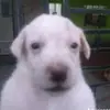 Ian Ponce - @ian.ponce5 - TikTok