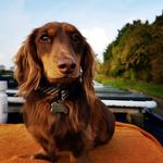 Ian Pooley - @ian_pooley - Instagram