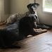 Ian Pruitt - Facebook
