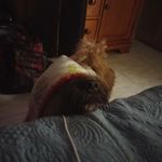 Nathian Quiles - @quilesnathian - Instagram