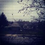 Ian Rapp - @ian.rapp - Instagram
