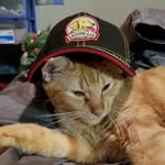 Ian Rapp - @ian.rapp.581 - Instagram
