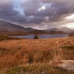 Ian Rayner - @ianraynerphoto - Instagram