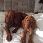 Ian Redfern - @ian.redfern.100 - Instagram
