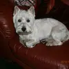 ianredfern0 - @ianredfern0 - TikTok