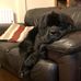 Ian Renwick - Facebook