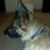 Ian Renwick - Facebook