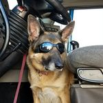Ian Rizzo - @rizzoian - Instagram