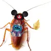 ian • Disney Roach - @that.disney.roach - TikTok