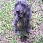 Ian Roach - @roach6350 - Instagram