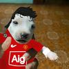 ianrobles61 - @ianrobles61 - TikTok