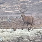 Ian Robson - @idrobson - Instagram