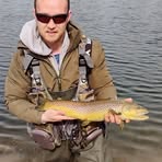Ian Roche - Facebook