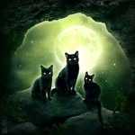 Ian Roden - @witcher20066 - Instagram