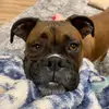 ian_rhodes34 - @ian_rhodes34 - TikTok