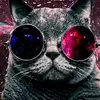 user1880596931652 - @ian_root - TikTok