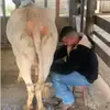 Ian Roque - @ian.roque25 - TikTok