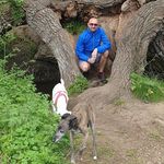 ian rowlands - @rolysragtop66 - Instagram