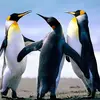 Ian Rowley309 - @ianrowley309 - TikTok