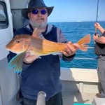 ian roxburgh - @roxburgh387 - Instagram
