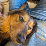 Ian Roxburgh - @roxburgh415 - Instagram