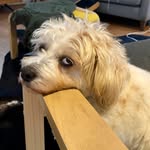 IanRoyall - @ian_royall - Instagram