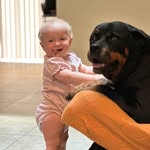 Ian Rummel - @rummelian - Instagram