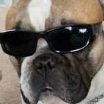 Ian Rutherford - @ianrutherford5 - Instagram