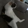 Ian Ryan - @ianryan1431 - TikTok