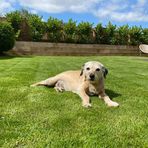 Ian Rylance - Facebook