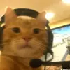 Ian - @ian.saad7 - TikTok