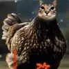 Ian - @ian.salazar526 - TikTok