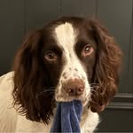 Ian Salisbury - @iansalisburyone - Instagram