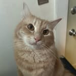 ian salisbury - @ilovebiscuitboy - Instagram