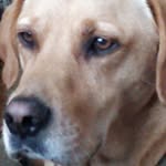 ian.salmon - @ian.salmon - Instagram