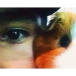 Yan• - @iansandoval_ - Instagram