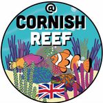 Ian Sargent - @cornishreef - Instagram