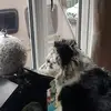 Ian Sargent - @ian.sargent3 - TikTok
