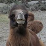 Ian Schell - @gamingmapper90 - Instagram