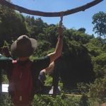 Ian Schlesinger - @schlesinger.ian - Instagram